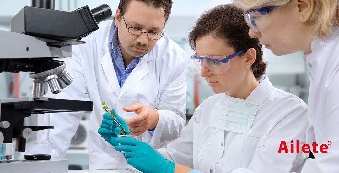 hth华体会全站官网